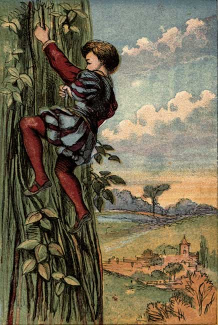 jack and the beanstalk