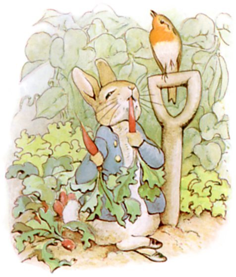 the tale of peter rabbit