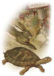 the tortoise and the hare