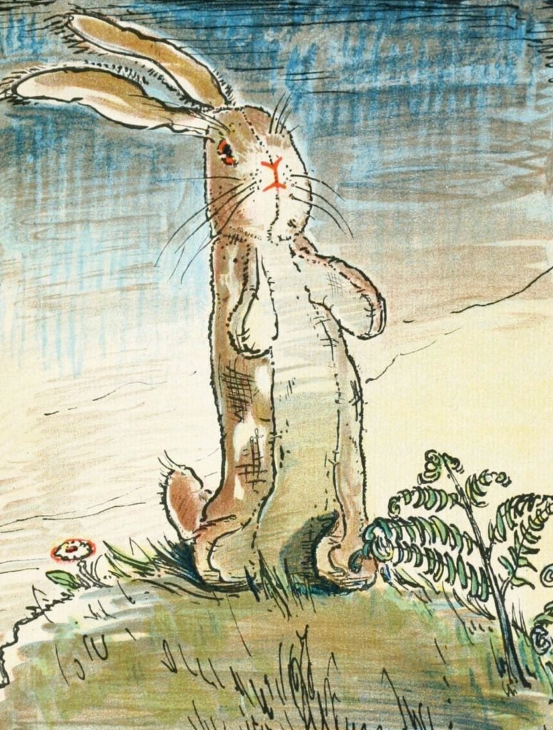 the velveteen rabbit